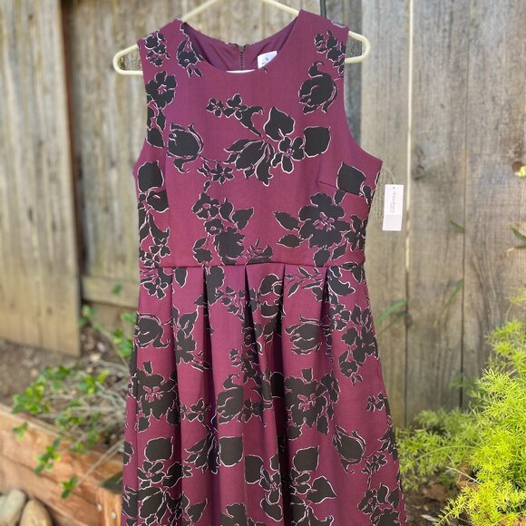 NWT Dress Barn Dress – Size 12P – Soft & Flattering! - Picture 1 of 5